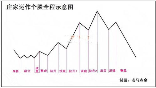 特快专递!揭秘！云霄香烟渠道秘籍——探索市场策略新视角“烟讯第48954章” - 3 - 680860香烟网