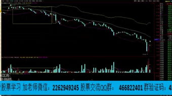 炒股教学视频