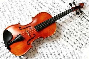 梦见拉小提琴