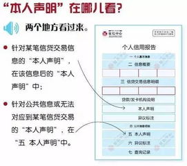 信用报告中一般的放贷机构有哪些