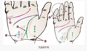 手相图解 桃花运旺盛的手相特点