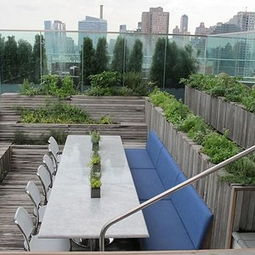 屋顶菜园效果图案例 