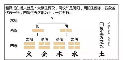 九维易 易经风水八字命理基础之 阴阳无行 漫画版