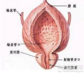 都知道前列腺炎患者不能熬夜，可是总是失眠怎么办