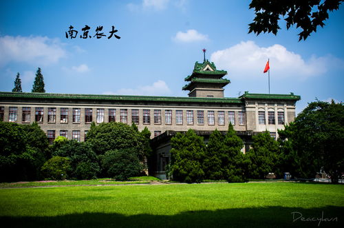 农林类大学有哪些