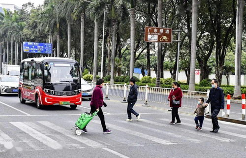 不礼让行人抓拍会闪光吗(不礼让行人抓拍几率)