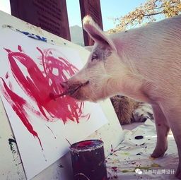 一头猪画画卖100000元,毕加索画不可怕,就怕猪也这样画 人生大不同 样本No.175 