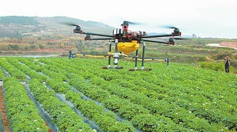 详解无人机喷洒农药服务到底怎么样 价格如何