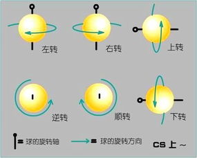 乒乓球 中的上旋下旋侧上侧下旋分别在球拍的什 