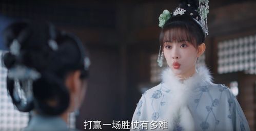 花琉璃轶闻 花家军大获全胜,花琉璃沦为质子,京城 大杀四方