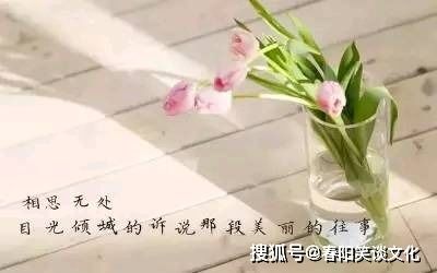 鼓励自己坚强的经典语句,阳光积极乐观,句句蕴含正能量