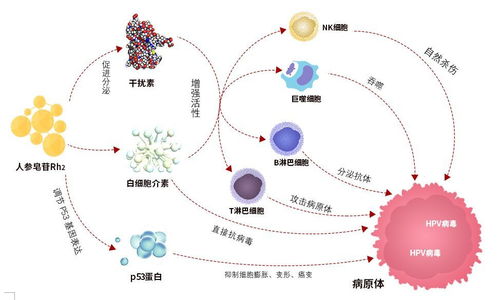 Hpv一直治不好多久变成宫颈癌