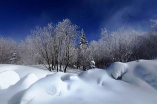 爸爸去哪儿 最后一站黑龙江雪乡 郭涛王岳伦张亮行喝酒庆贺 