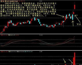 600556北生药业股票前景如何