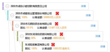 深圳市新盈咨询有限公司名下有个(华昌金融)的分公司放贷款的吗？