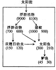 人工生态系统中，第一营养级的生物同化的能量大于第二营养级的生物同化的吗？