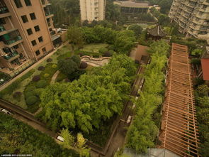 城管开始拆除杭州 最牛空中花园