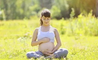 原创谁说孕妇不能运动？不同时期，准妈妈运动胎教要注意哪些？