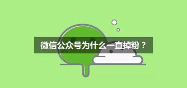 为什么那么多人运营资金盘公众号