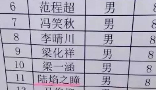 取名一时爽,考试泪两行,小学生名字共103画,老师连字都不认识