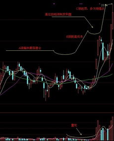 股民朋友怎么一起交流？