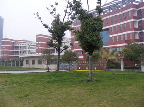 重庆市公立卫校哪个学校最好