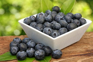 蓝莓升糖指数高吗,蓝莓糖尿病人能吃吗