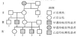 下图为某家族甲 乙两种遗传病的系谱图 甲遗传病由一对等位基因 A a 控制,乙遗传病由另一对等位基因 B b 控制,这两对等位基因独立遗传 已知Ⅲ4携带甲遗传病的致病基因 