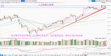 新浪股票财经论坛_ 股票入门三招教你波段投资