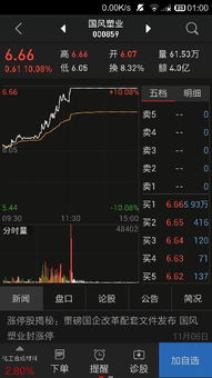 RSⅠ代表什么意思股票？