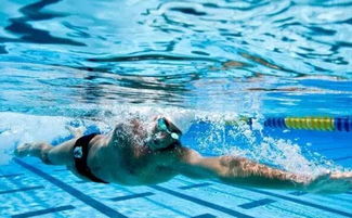 自由泳的划水技术以及配合呼吸练习是怎幺样的(自由泳划手提臂怎幺练的)