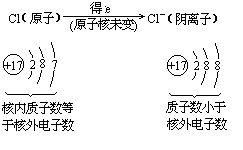 什么是离子团 离子团和原子团的区别是什么 有什么性质 