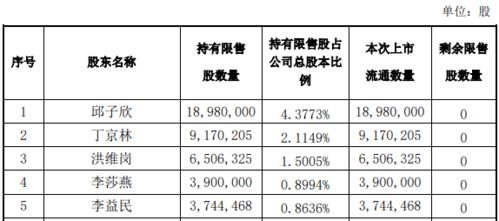 一个200亿市值的公司可以发行多少股？