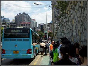 贵阳市的各种股票市场