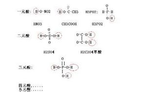 什么是二元酸和一元酸,它们有什么区别 