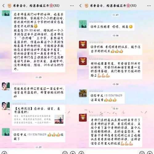 怎样优化教师专业知识