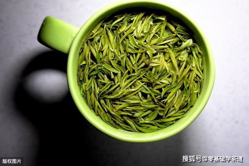 零基础学茶道 绿茶细细说