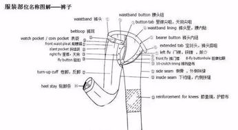 最全常用服装英语图文解释,收了 