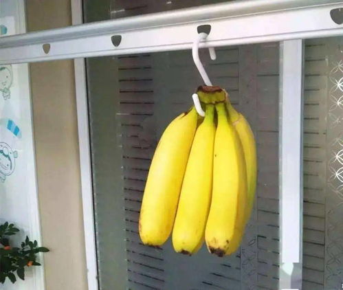 为什么有些香蕉是直的,有些香蕉是弯的呢 我们应该买哪种