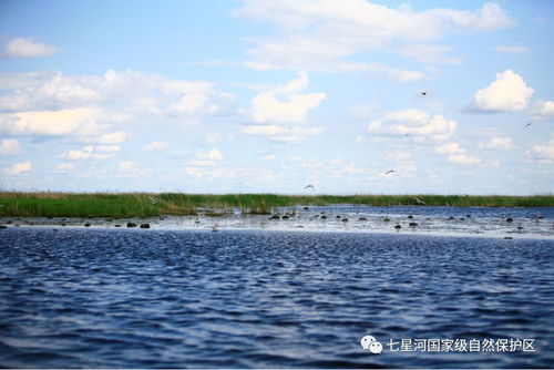 宝清有景名曰七星河湿地,从春到冬,美不胜收