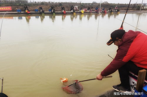 钓鱼新人为什么很难钓到鱼 急功近利是钓鱼新手的典型特征