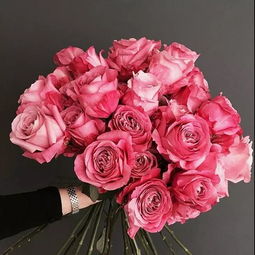 粉色玫瑰适合什么样的女生？