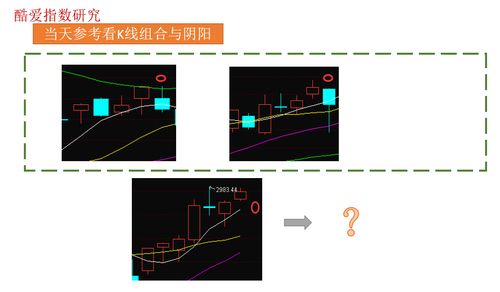 谁能预计现在的股市上证指数会跌倒多少?