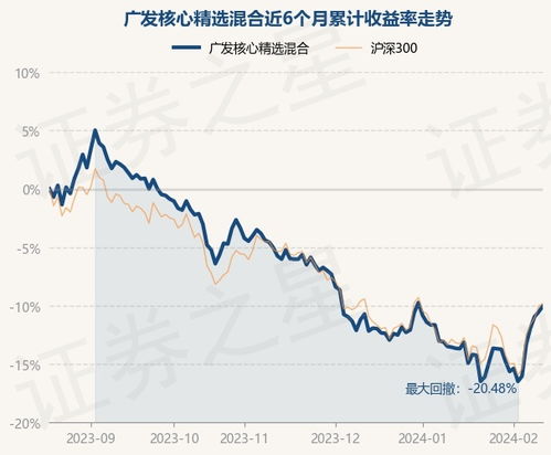 广发核心精选股票基金怎么样?