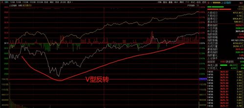 600162和600638在一个是000677这3个股票怎么样