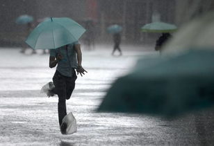 金溪人下雨天千万别穿拖鞋 有视频 