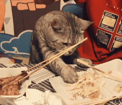 猫咪偷吃鱿鱼丝,结果被主人连打两巴掌,下一秒委屈得想哭