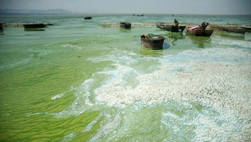 我国重点治理的三湖是指哪三条湖