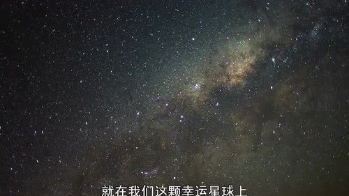 安静的看着美丽星空 