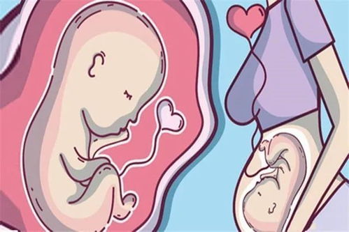 怀孕期间你做过胎梦吗 据说孕期的这些胎梦是预示,孩子来报恩的